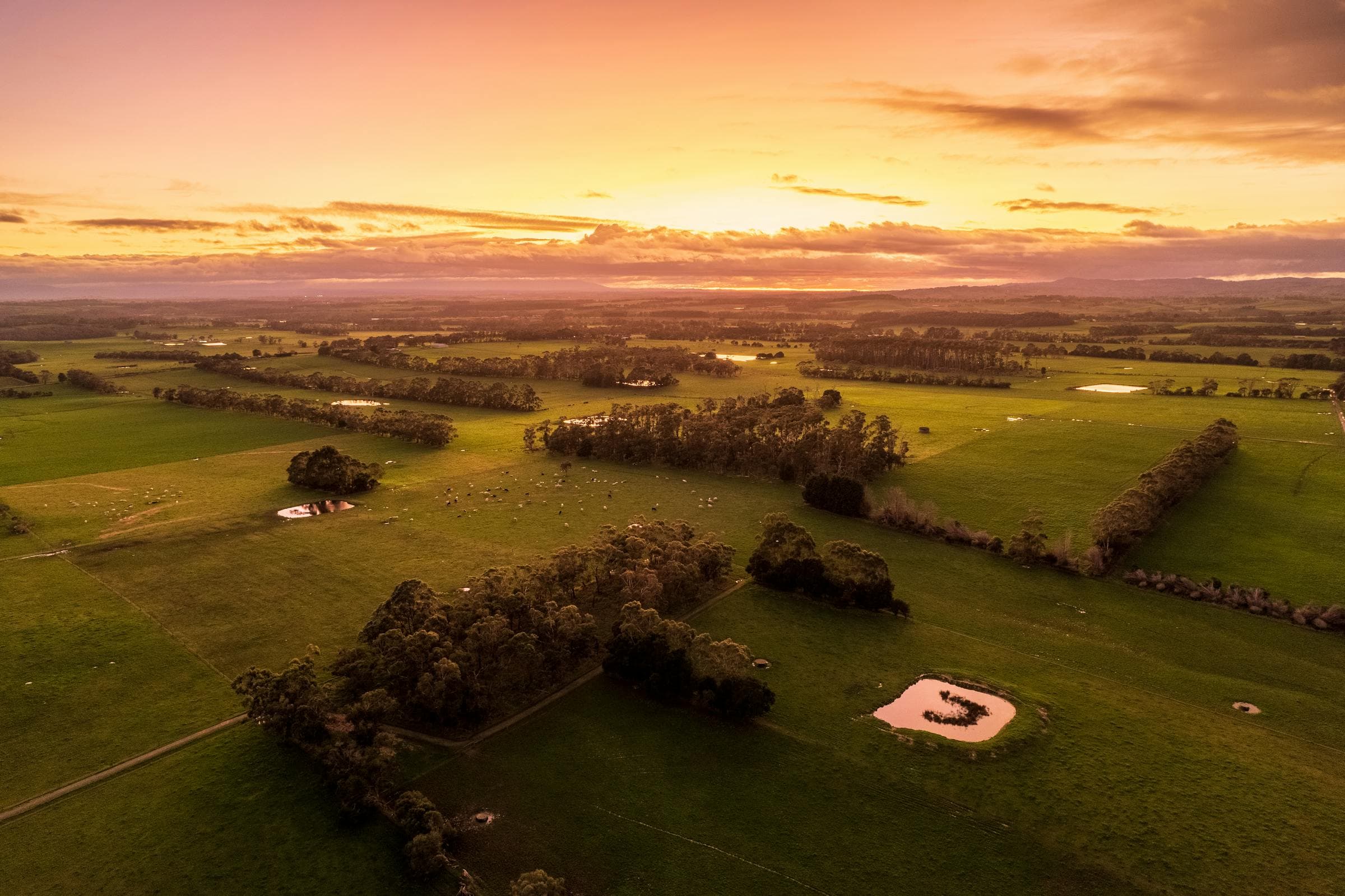 Aerial view of open land at golden hour