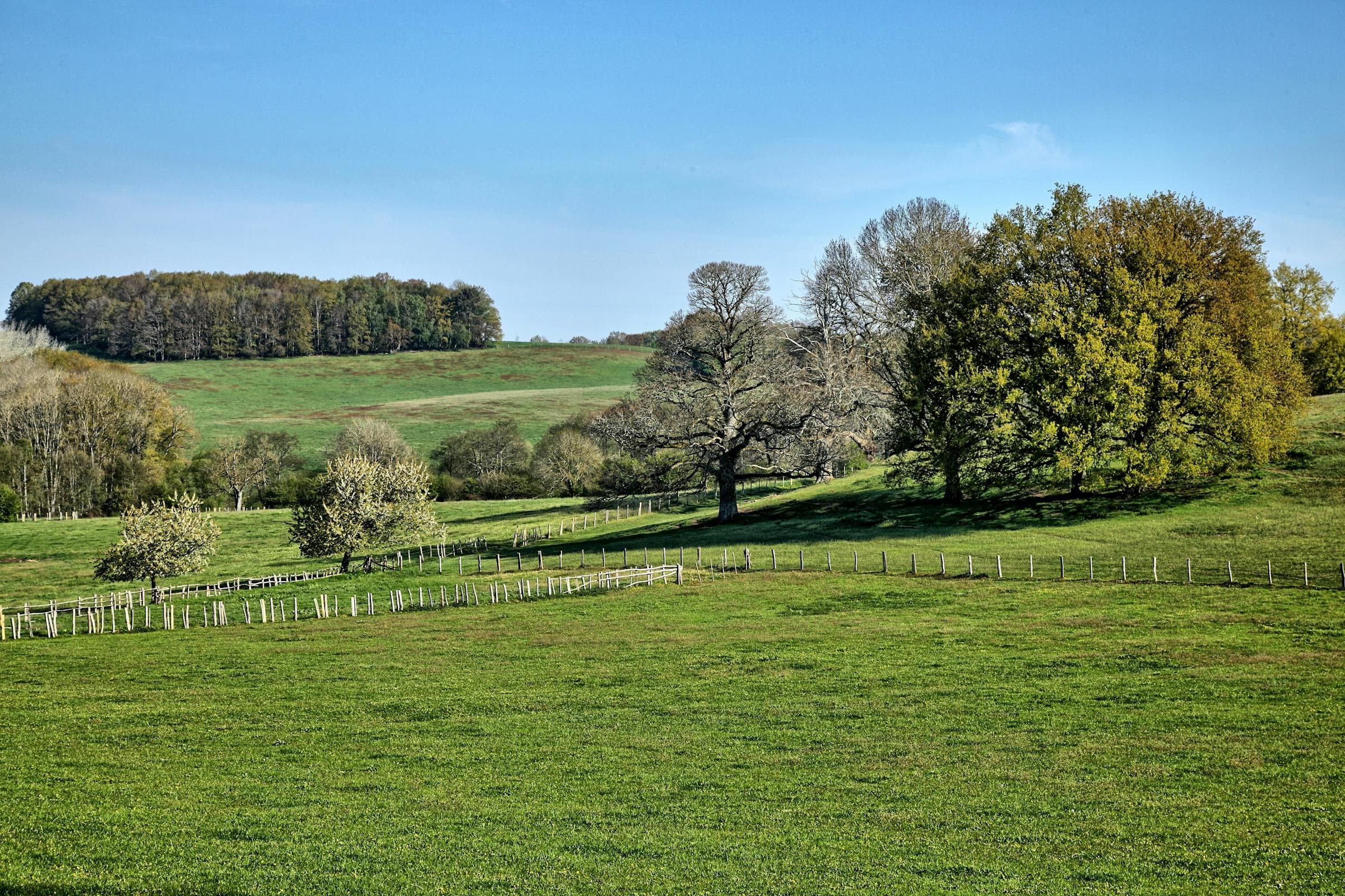Open pasture acreage